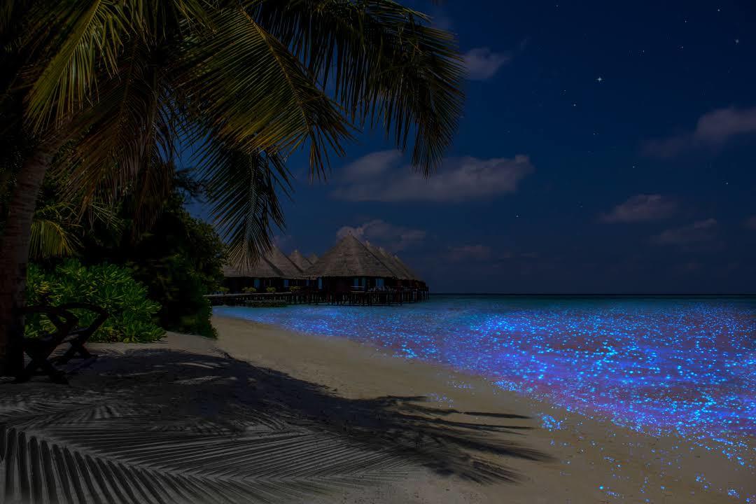 Kuramathi