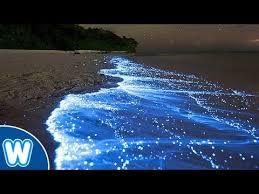 Vaadhoo