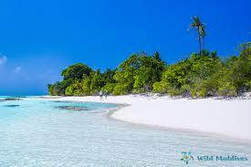 Fehendhoo