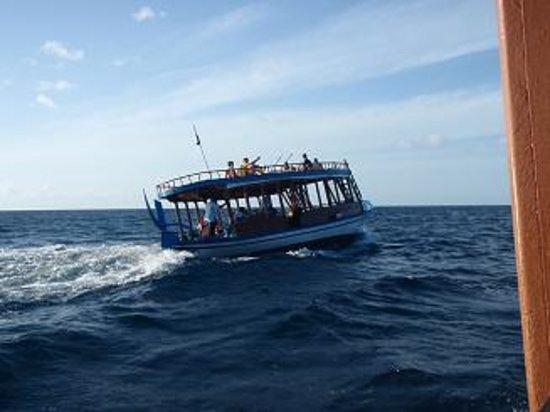 Sea Explorer