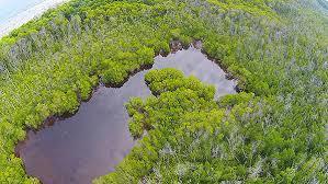 Neykurendhoo